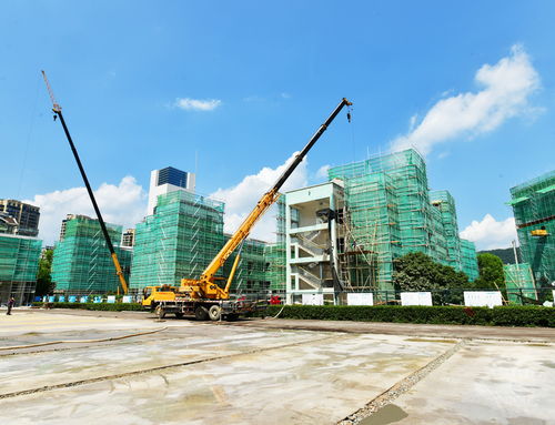 明珠小學(xué)改擴(kuò)建工程有序推進(jìn)，景觀工程為校園增添新氣象