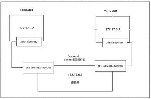 Docker網(wǎng)絡(luò)詳解 從docker0到自定義網(wǎng)絡(luò)與信息系統(tǒng)集成服務(wù)